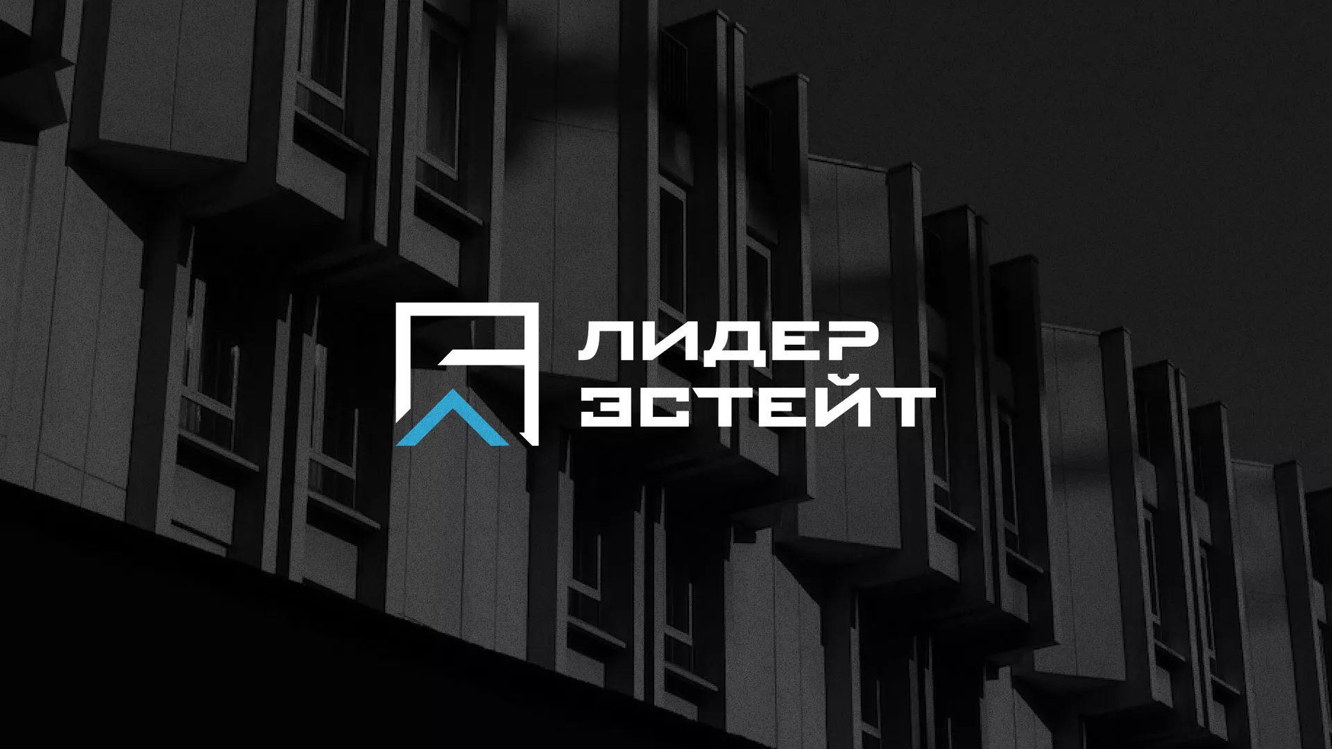 Разработка логотипа агентства недвижимости «Лидер Эстейт» в Калининграде